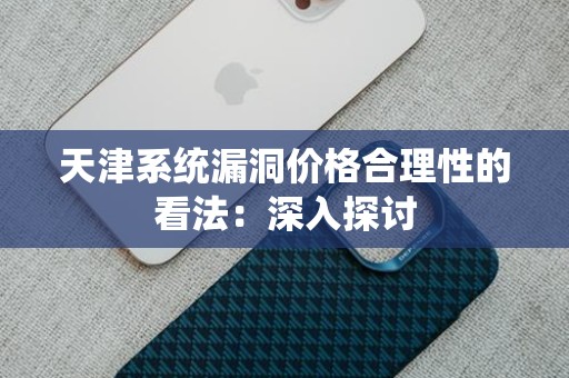 天津系统漏洞价格合理性的看法：深入探讨