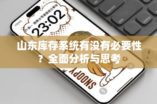 山东库存系统有没有必要性？全面分析与思考