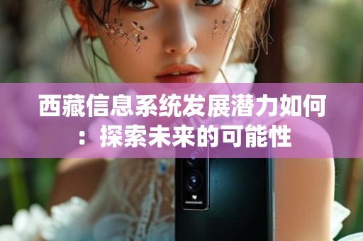 西藏信息系统发展潜力如何：探索未来的可能性