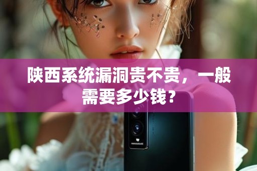 陕西系统漏洞贵不贵，一般需要多少钱？