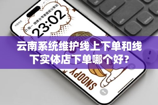 云南系统维护线上下单和线下实体店下单哪个好？