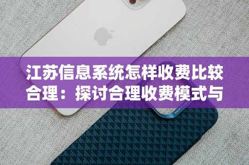 江苏信息系统怎样收费比较合理：探讨合理收费模式与策略