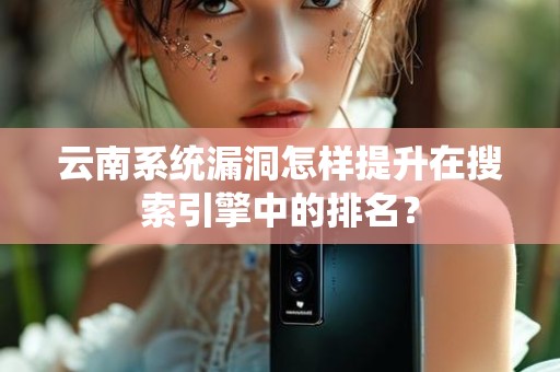 云南系统漏洞怎样提升在搜索引擎中的排名？