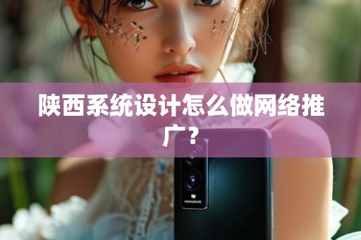陕西系统设计怎么做网络推广？