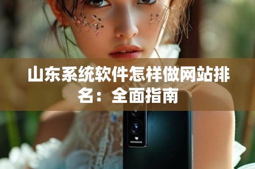 山东系统软件怎样做网站排名：全面指南