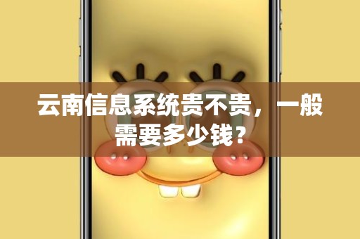 云南信息系统贵不贵，一般需要多少钱？