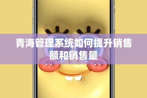 青海管理系统如何提升销售额和销售量
