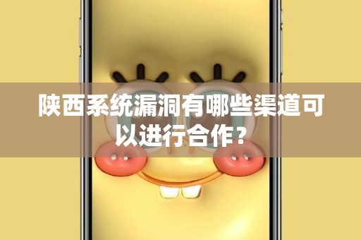 陕西系统漏洞有哪些渠道可以进行合作？
