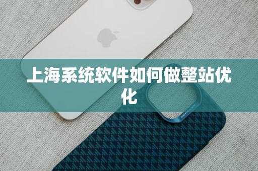 上海系统软件如何做整站优化