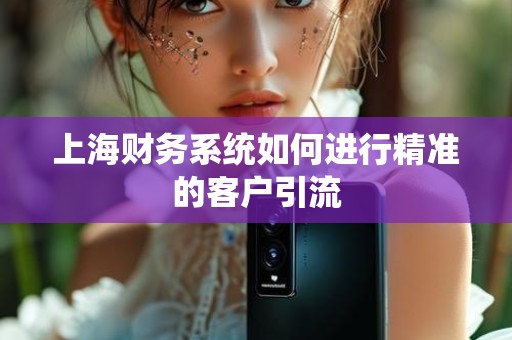 上海财务系统如何进行精准的客户引流