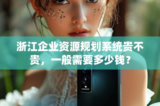浙江企业资源规划系统贵不贵，一般需要多少钱？