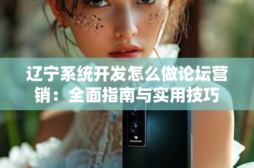 辽宁系统开发怎么做论坛营销：全面指南与实用技巧