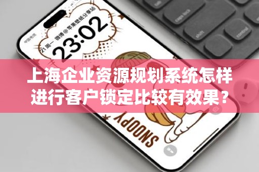 上海企业资源规划系统怎样进行客户锁定比较有效果？