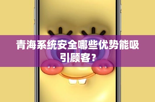 青海系统安全哪些优势能吸引顾客？