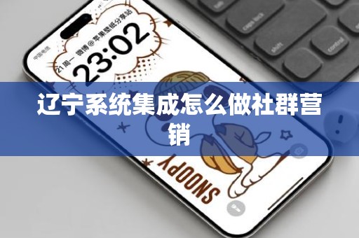 辽宁系统集成怎么做社群营销