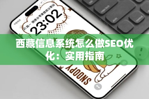 西藏信息系统怎么做SEO优化：实用指南