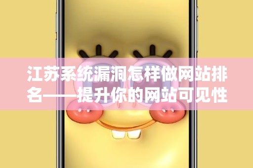 江苏系统漏洞怎样做网站排名——提升你的网站可见性和流量