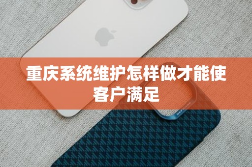 重庆系统维护怎样做才能使客户满足