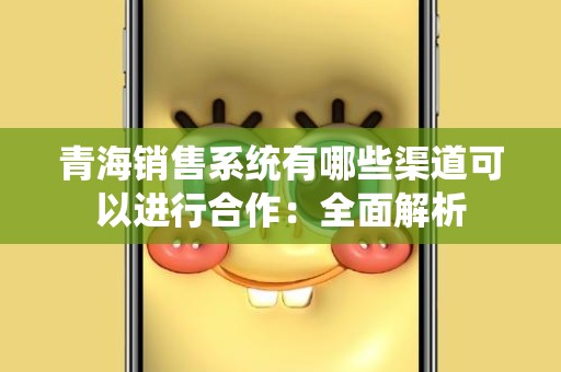 青海销售系统有哪些渠道可以进行合作：全面解析