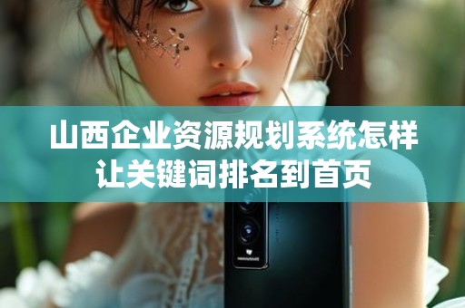 山西企业资源规划系统怎样让关键词排名到首页