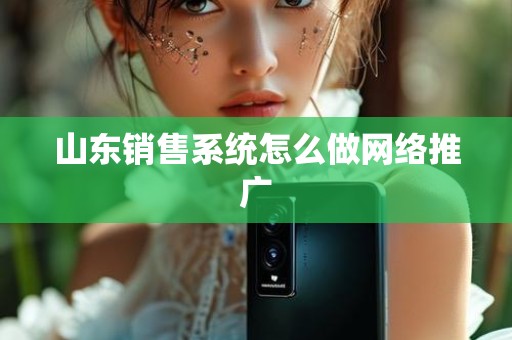 山东销售系统怎么做网络推广