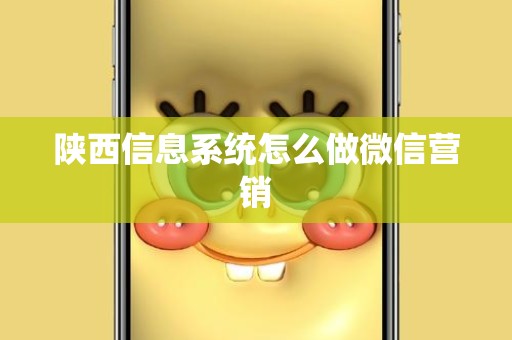 陕西信息系统怎么做微信营销