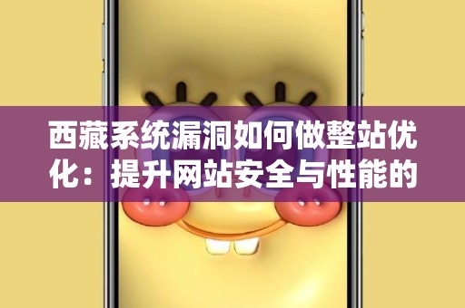 西藏系统漏洞如何做整站优化：提升网站安全与性能的有效策略