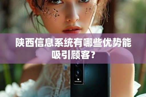 陕西信息系统有哪些优势能吸引顾客？