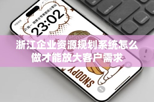 浙江企业资源规划系统怎么做才能放大客户需求