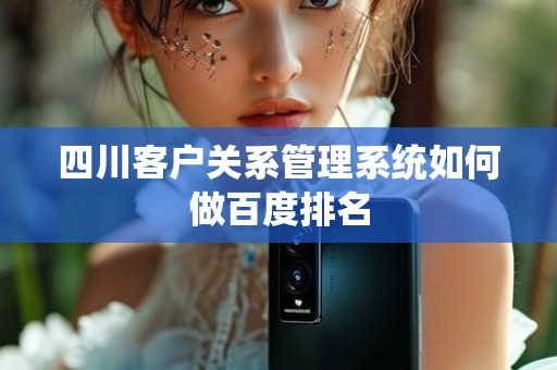 四川客户关系管理系统如何做百度排名