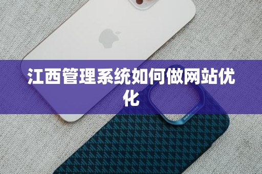 江西管理系统如何做网站优化