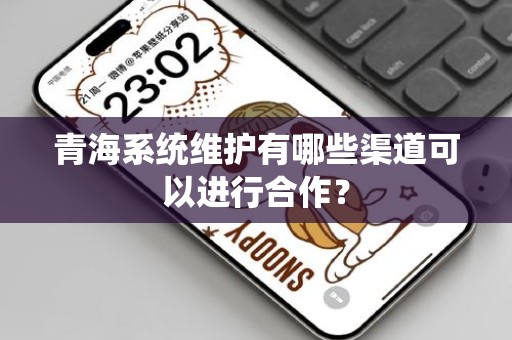 青海系统维护有哪些渠道可以进行合作？