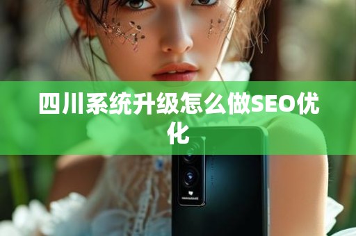 四川系统升级怎么做SEO优化