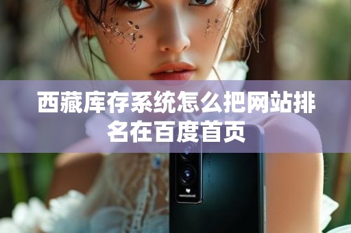 西藏库存系统怎么把网站排名在百度首页