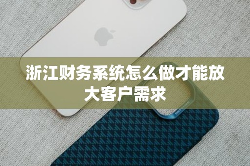 浙江财务系统怎么做才能放大客户需求