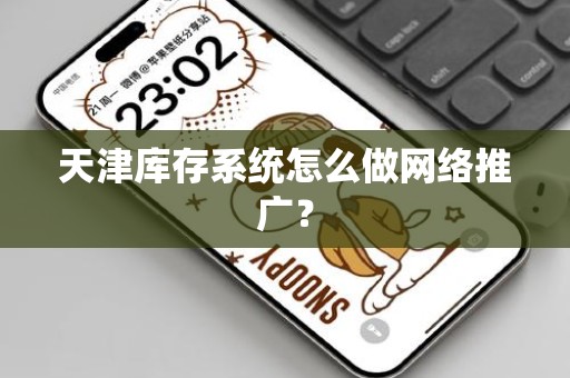 天津库存系统怎么做网络推广？