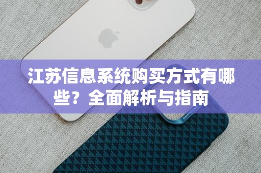 江苏信息系统购买方式有哪些？全面解析与指南