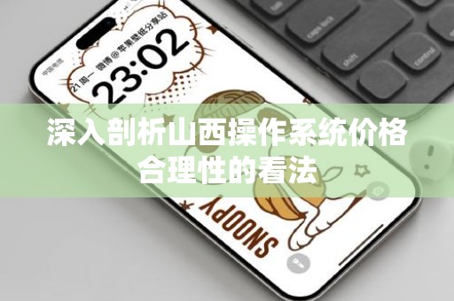 深入剖析山西操作系统价格合理性的看法