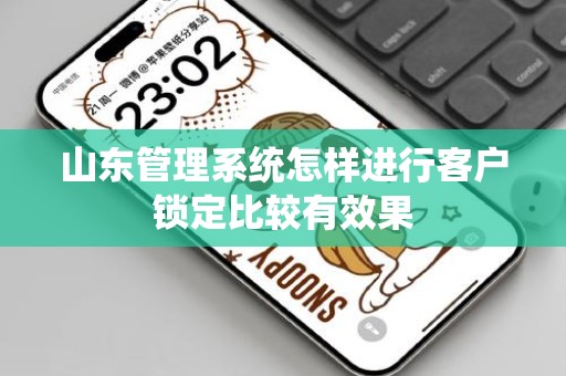 山东管理系统怎样进行客户锁定比较有效果