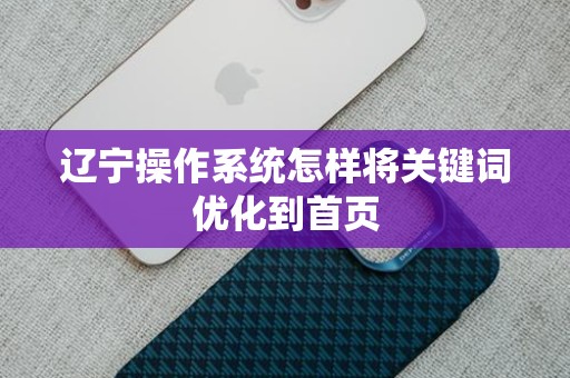 辽宁操作系统怎样将关键词优化到首页
