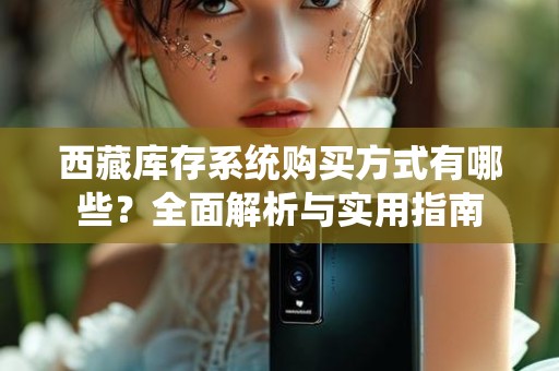 西藏库存系统购买方式有哪些？全面解析与实用指南