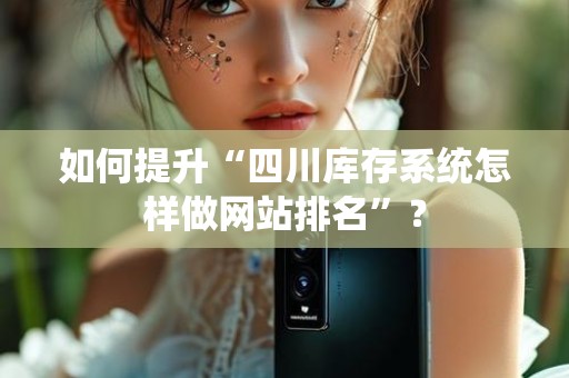 如何提升“四川库存系统怎样做网站排名”？