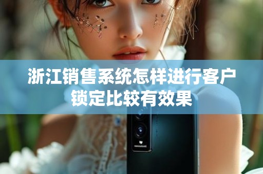 浙江销售系统怎样进行客户锁定比较有效果