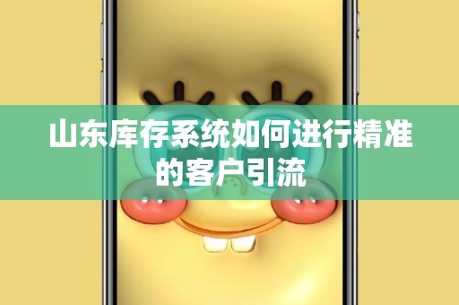 山东库存系统如何进行精准的客户引流