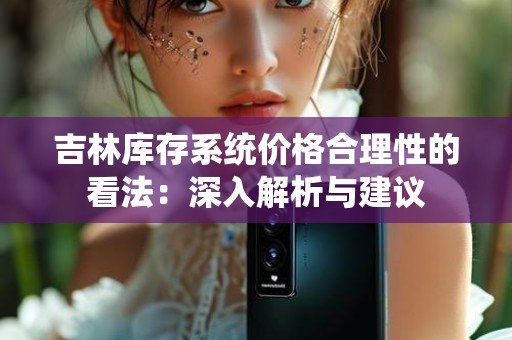 吉林库存系统价格合理性的看法：深入解析与建议