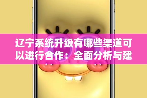 辽宁系统升级有哪些渠道可以进行合作：全面分析与建议