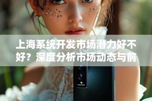 上海系统开发市场潜力好不好？深度分析市场动态与前景