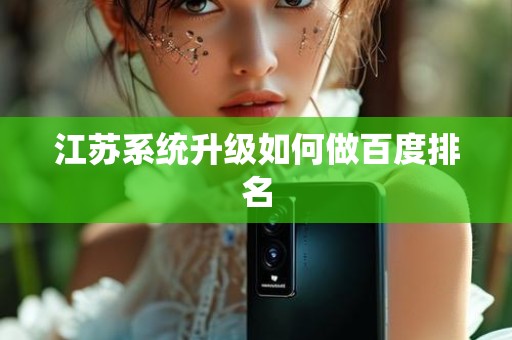 江苏系统升级如何做百度排名