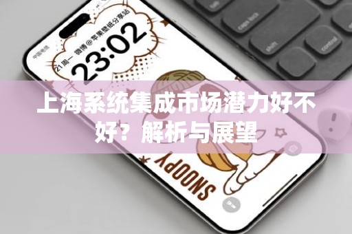 上海系统集成市场潜力好不好？解析与展望