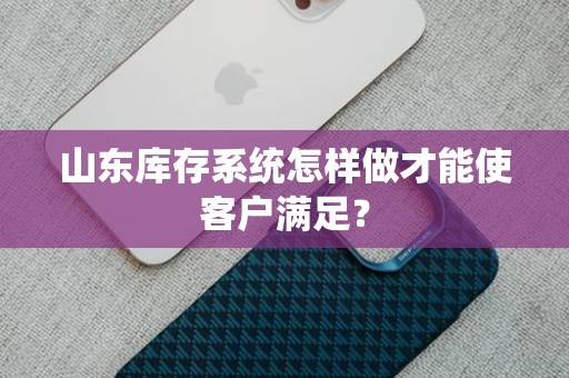 山东库存系统怎样做才能使客户满足？
